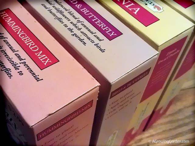 Flower Seeds from the Dollar Store