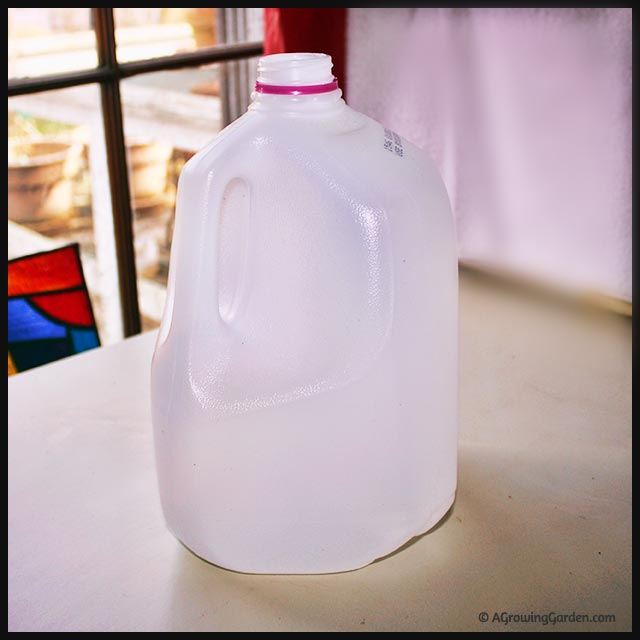 Winter Sowing Tutorial