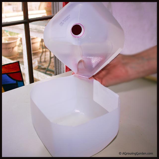 How to Winter Sow Seeds