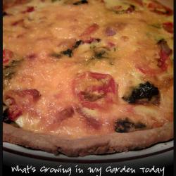 What's Growing in My Garden Today Quiche Recipe