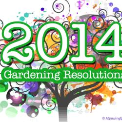 My 2014 Garden Resolutions
