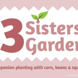 How to Plant & Grow a Three Sisters Garden