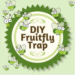 DIY Fruitfly Trap - It's Easy and It Works!